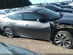 2017 Nissan Maxima 3.5 Sr Gray vin: 1N4AA6AP3HC373937