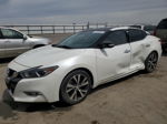 2016 Nissan Maxima 3.5s White vin: 1N4AA6AP4GC375257