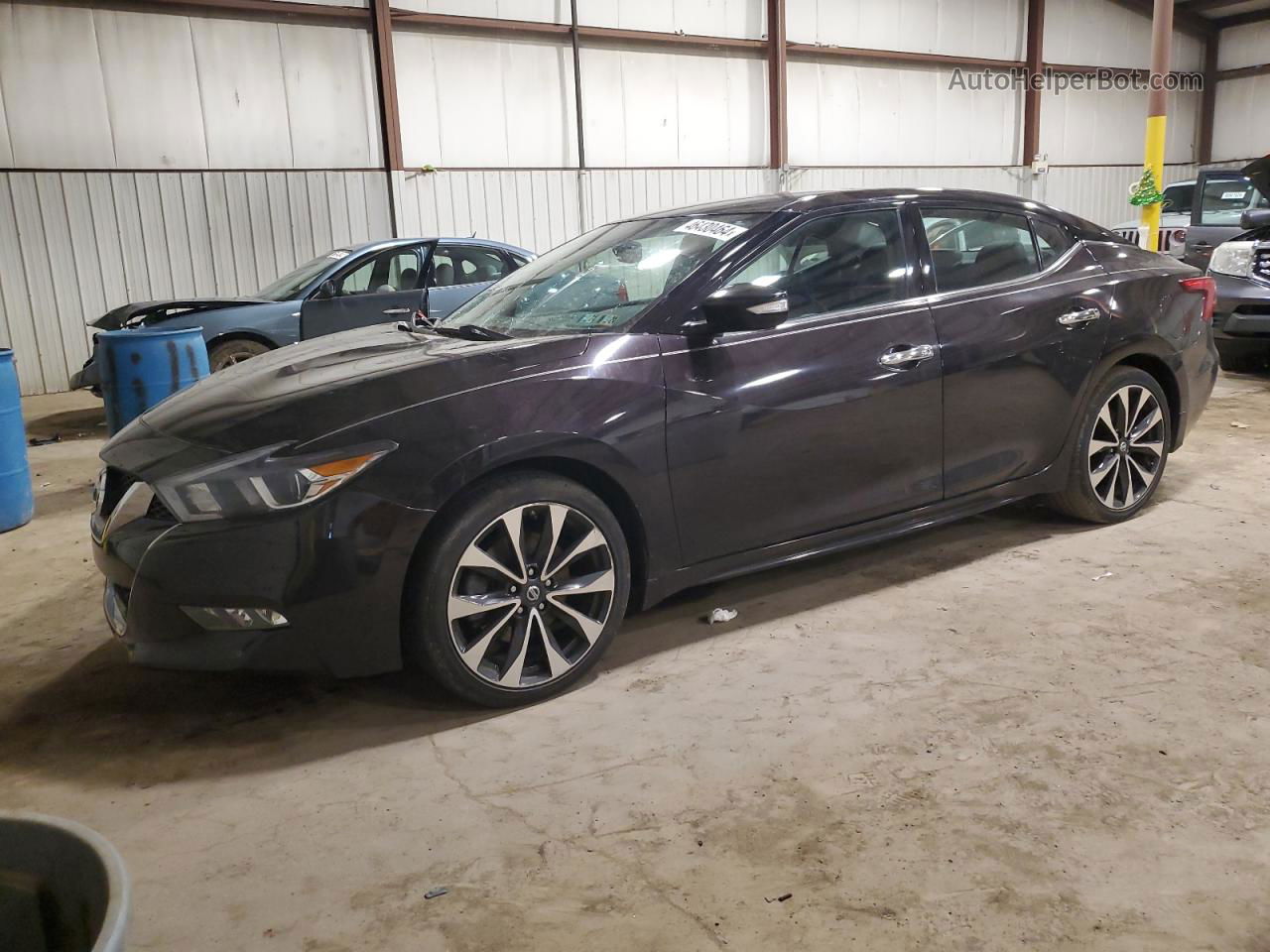 2016 Nissan Maxima 3.5s Purple vin: 1N4AA6AP4GC384590