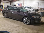 2016 Nissan Maxima 3.5s Purple vin: 1N4AA6AP4GC384590