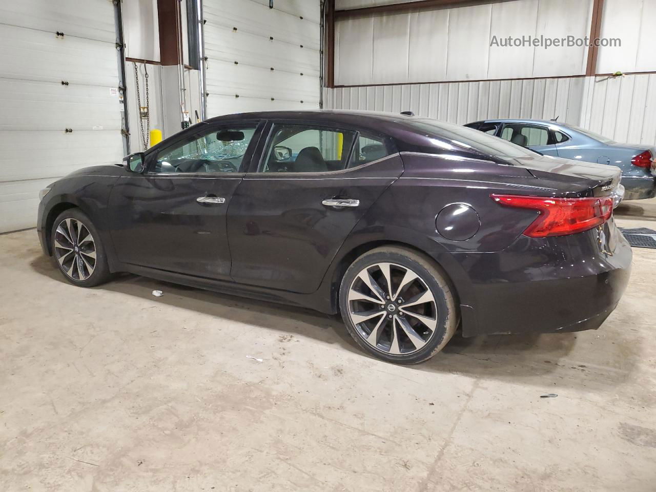 2016 Nissan Maxima 3.5s Purple vin: 1N4AA6AP4GC384590