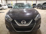 2016 Nissan Maxima 3.5s Purple vin: 1N4AA6AP4GC384590