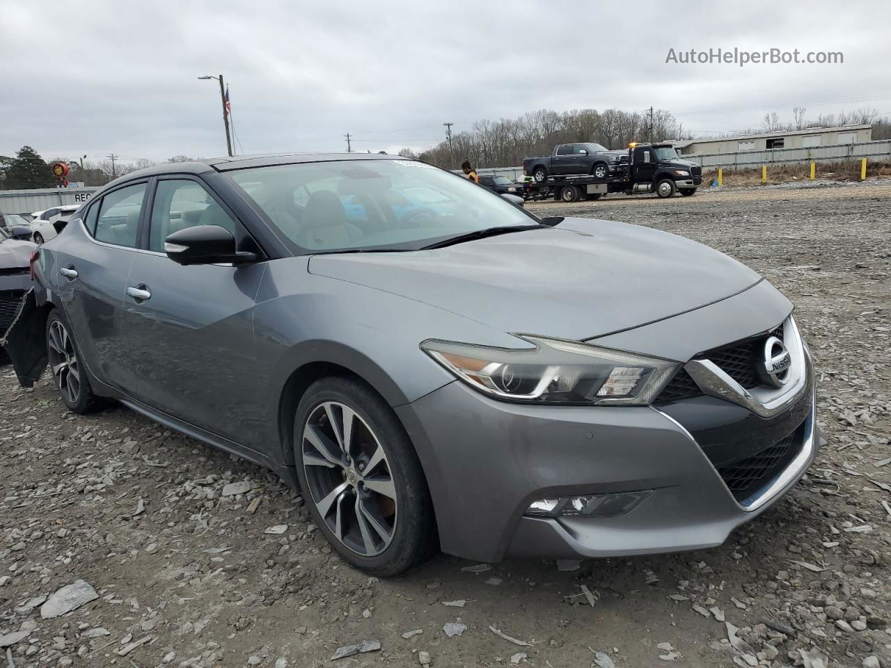 2016 Nissan Maxima 3.5s Gray vin: 1N4AA6AP4GC390664