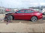 2016 Nissan Maxima 3.5 Sv Бордовый vin: 1N4AA6AP4GC433352