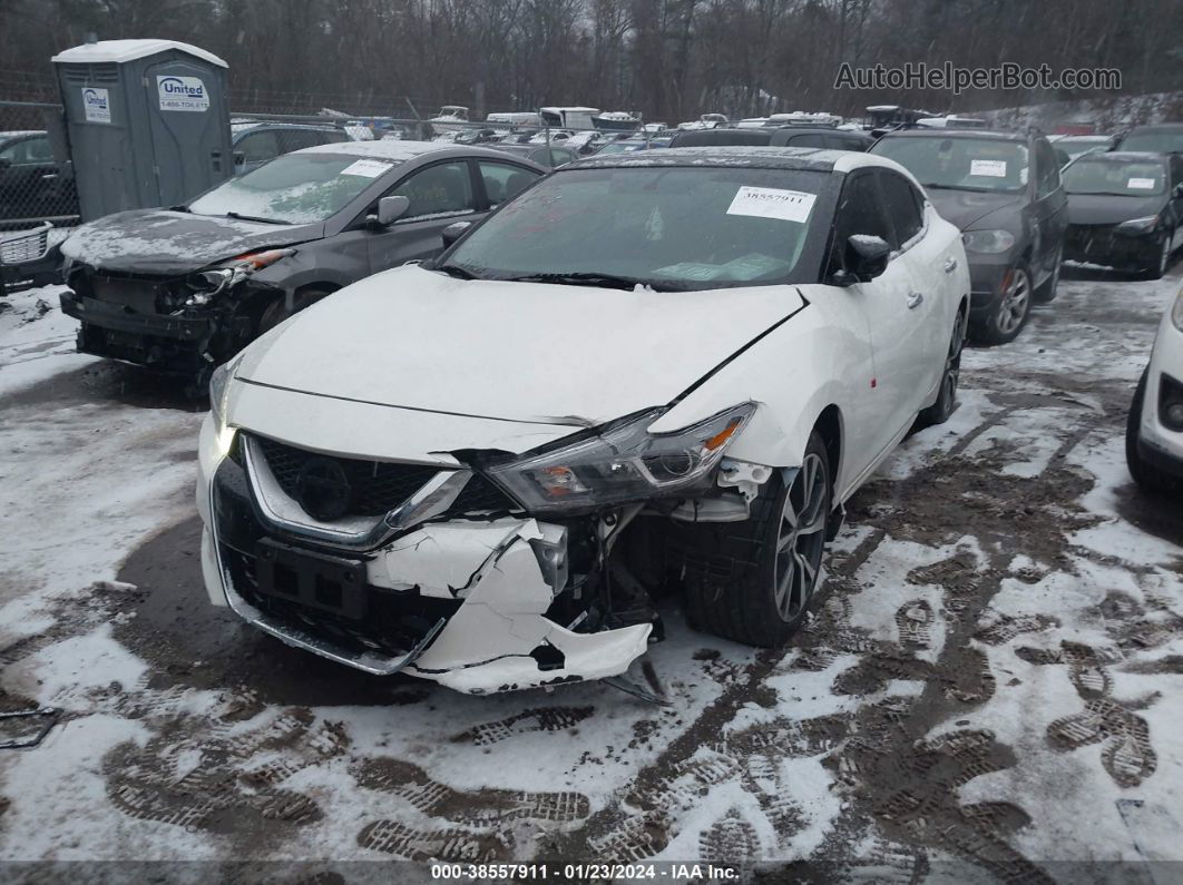 2016 Nissan Maxima 3.5 Sl Белый vin: 1N4AA6AP4GC436820