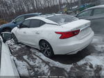 2016 Nissan Maxima 3.5 Sl Белый vin: 1N4AA6AP4GC436820