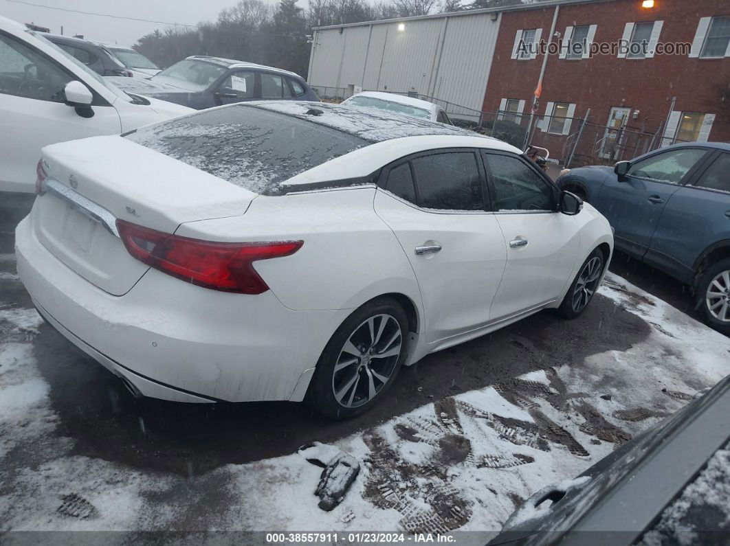 2016 Nissan Maxima 3.5 Sl White vin: 1N4AA6AP4GC436820