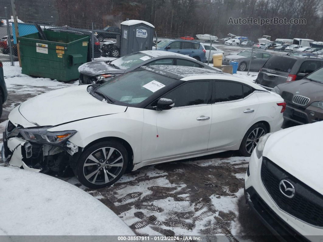 2016 Nissan Maxima 3.5 Sl White vin: 1N4AA6AP4GC436820