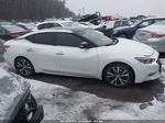 2016 Nissan Maxima 3.5 Sl White vin: 1N4AA6AP4GC436820