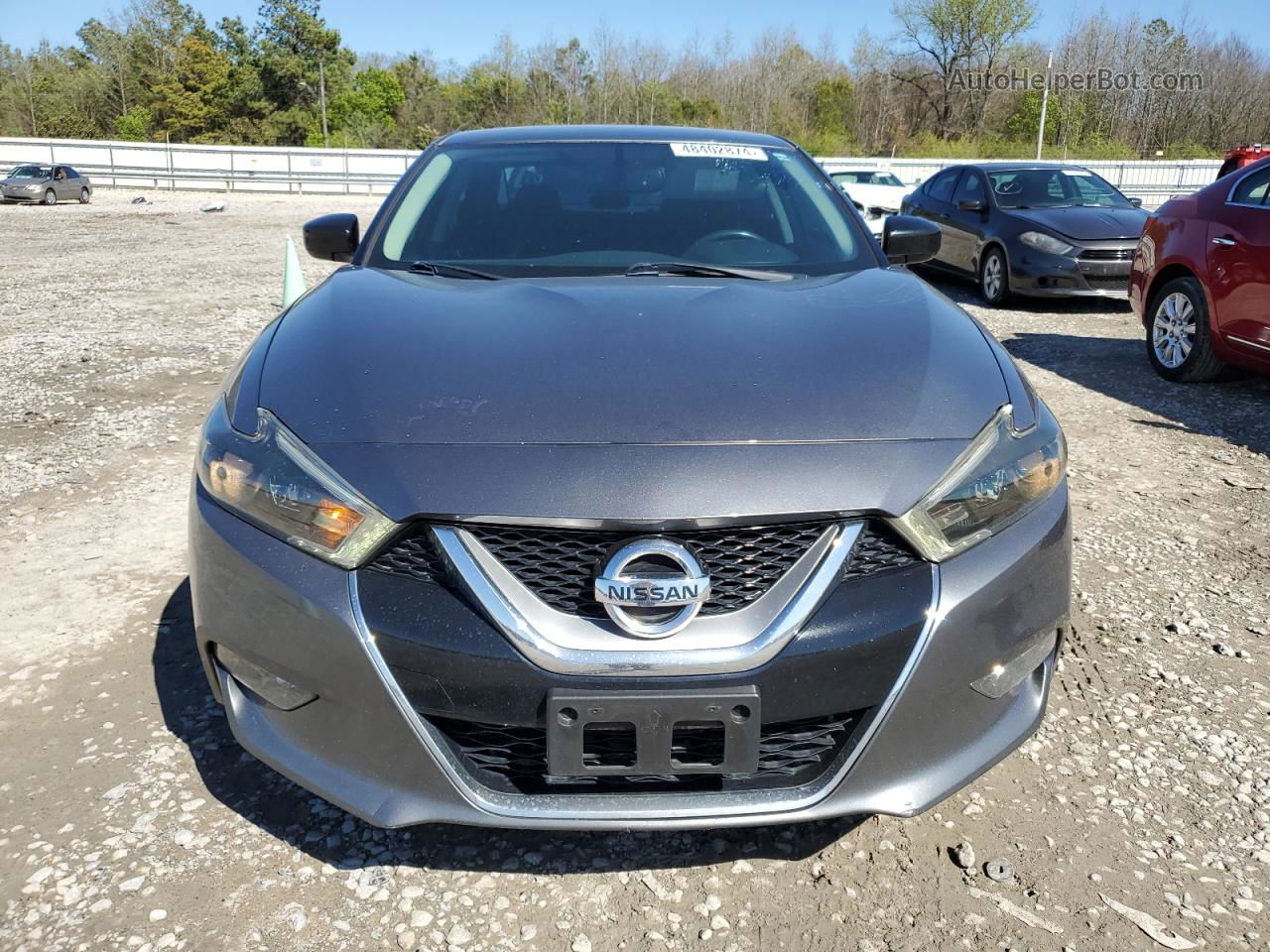 2016 Nissan Maxima 3.5s Gray vin: 1N4AA6AP4GC448580