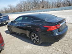 2016 Nissan Maxima 3.5s Black vin: 1N4AA6AP4GC901337