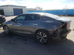 2017 Nissan Maxima 3.5s Gray vin: 1N4AA6AP4HC375244