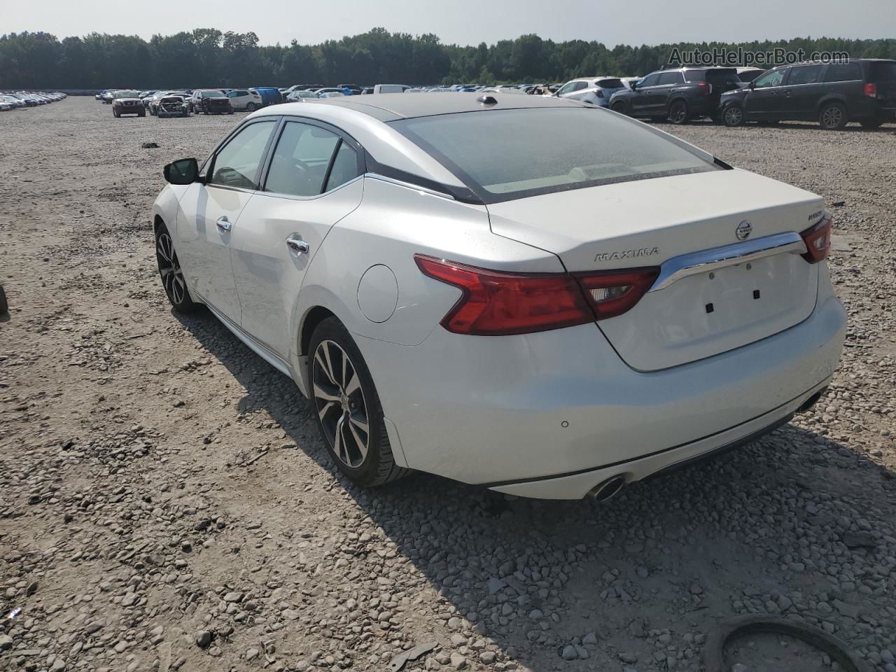 2016 Nissan Maxima 3.5s White vin: 1N4AA6AP5GC377213