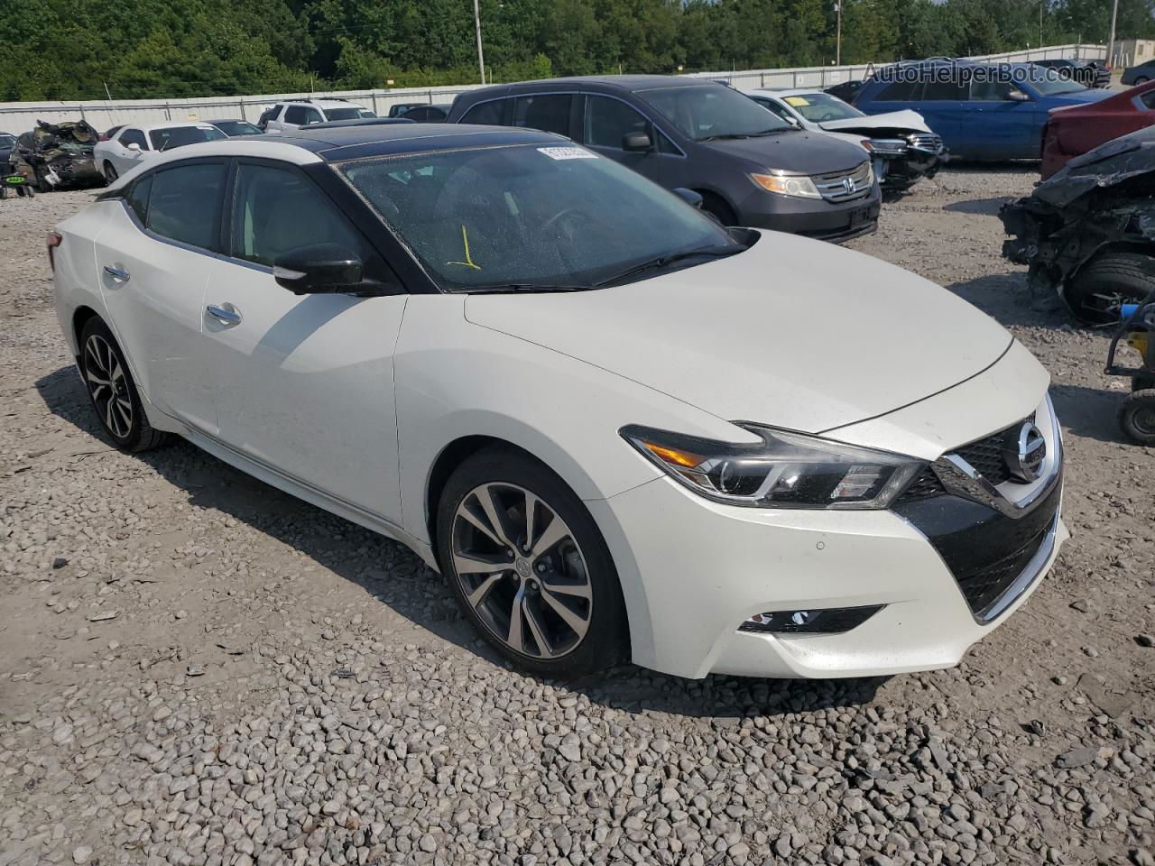 2016 Nissan Maxima 3.5s White vin: 1N4AA6AP5GC377213