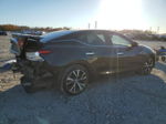 2016 Nissan Maxima 3.5s Black vin: 1N4AA6AP5GC388129