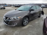 2016 Nissan Maxima 3.5s Gray vin: 1N4AA6AP5GC400103