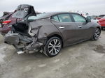 2016 Nissan Maxima 3.5s Gray vin: 1N4AA6AP5GC400103