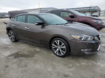 2016 Nissan Maxima 3.5s Gray vin: 1N4AA6AP5GC400103