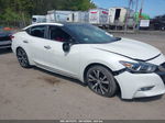 2016 Nissan Maxima 3.5 Sl White vin: 1N4AA6AP5GC424210