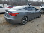 2016 Nissan Maxima 3.5s Charcoal vin: 1N4AA6AP5GC430962