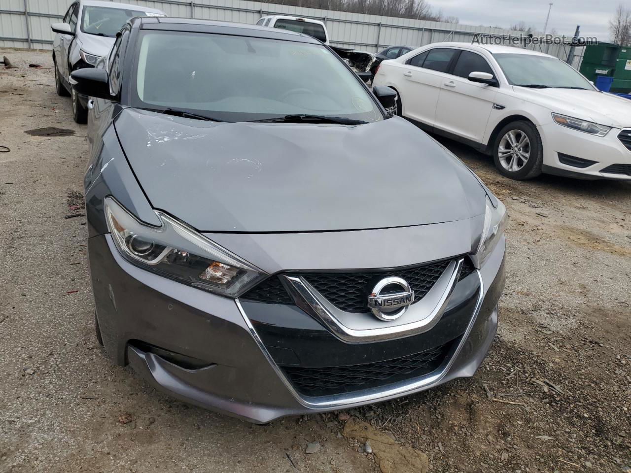 2016 Nissan Maxima 3.5s Угольный vin: 1N4AA6AP5GC430962