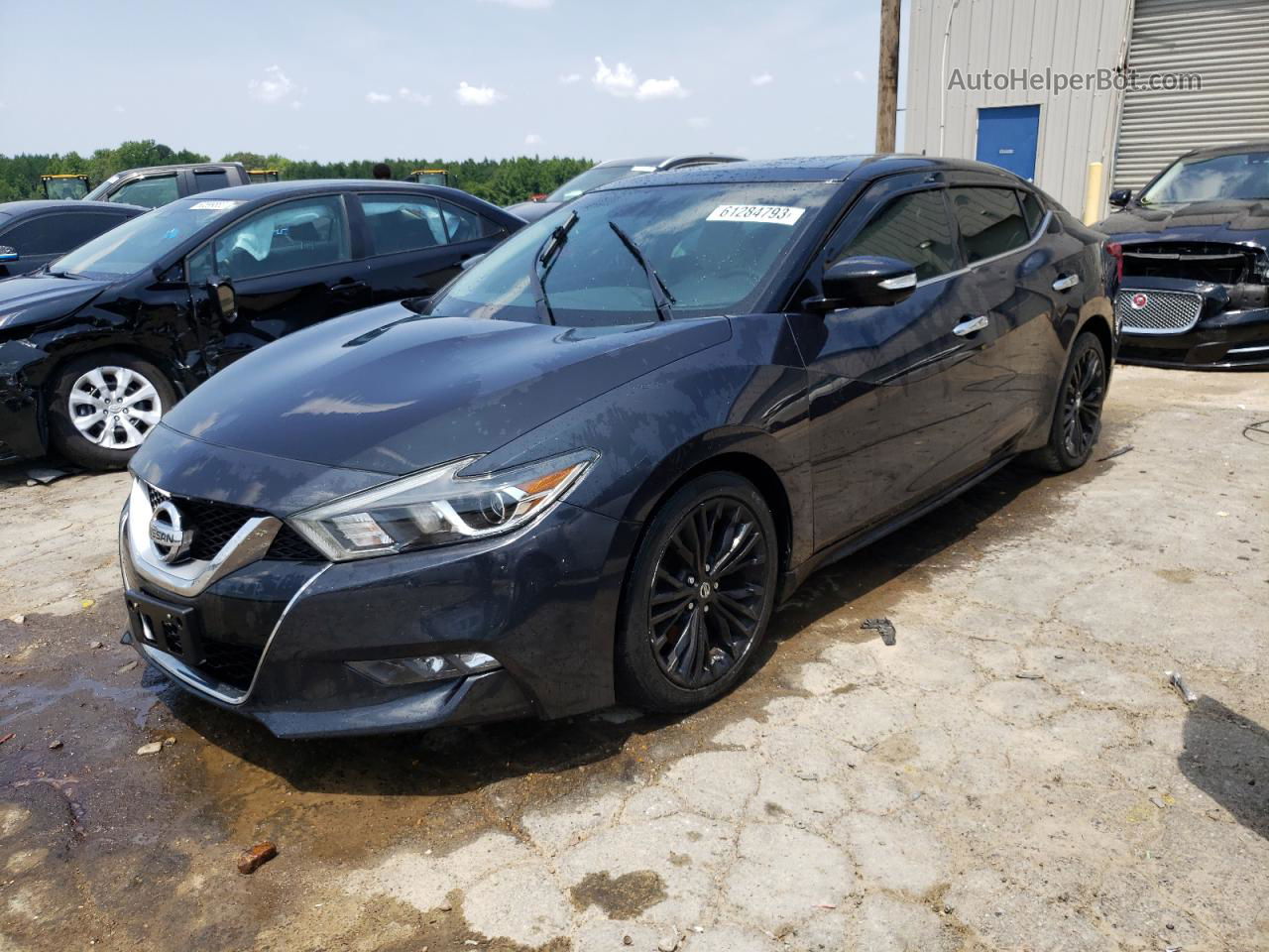 2017 Nissan Maxima 3.5s Угольный vin: 1N4AA6AP5HC389539