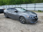 2017 Nissan Maxima 3.5s Gray vin: 1N4AA6AP5HC390237