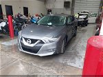 2017 Nissan Maxima 3.5 S Gray vin: 1N4AA6AP5HC395048