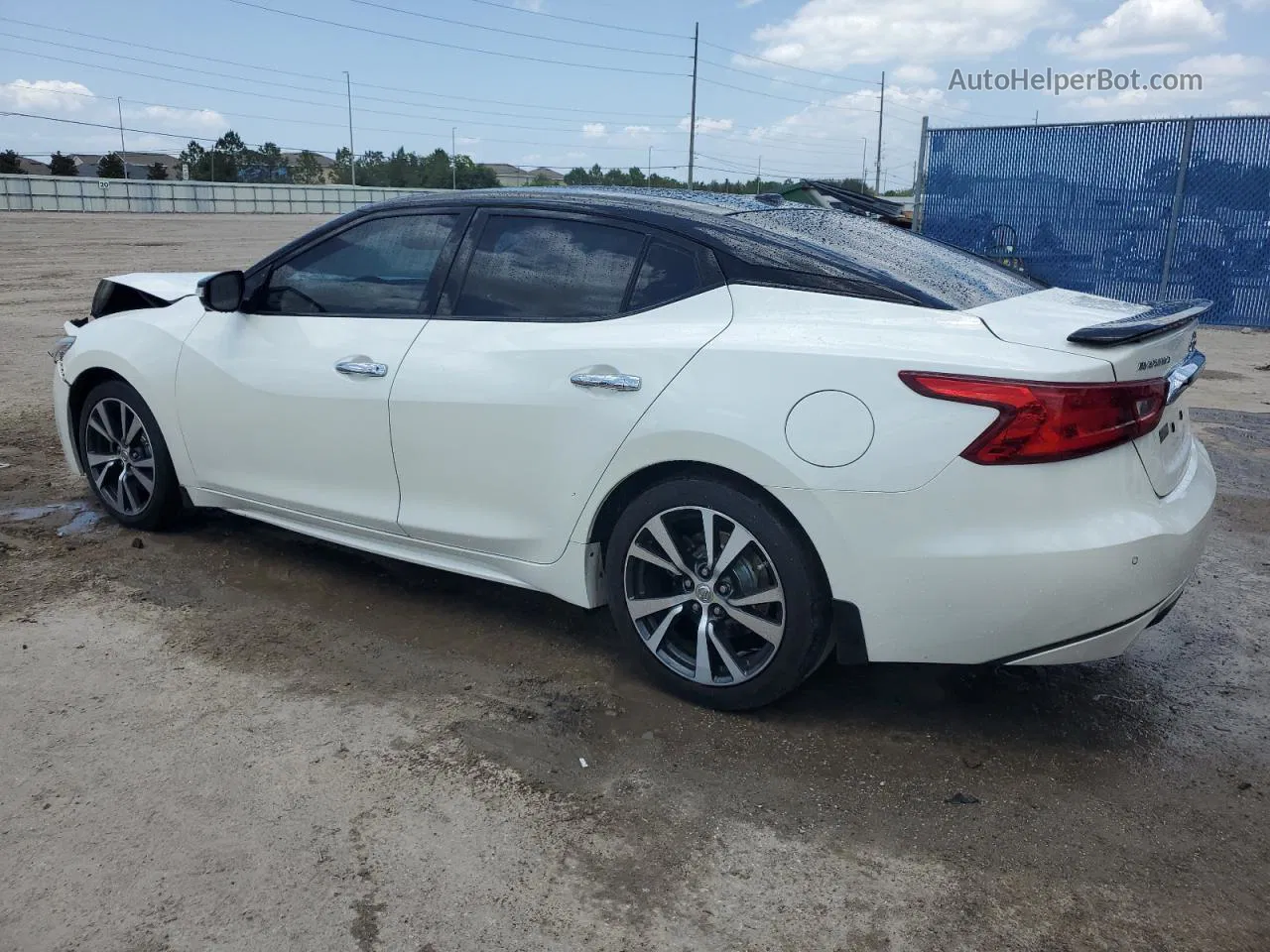 2017 Nissan Maxima 3.5s Белый vin: 1N4AA6AP5HC398936