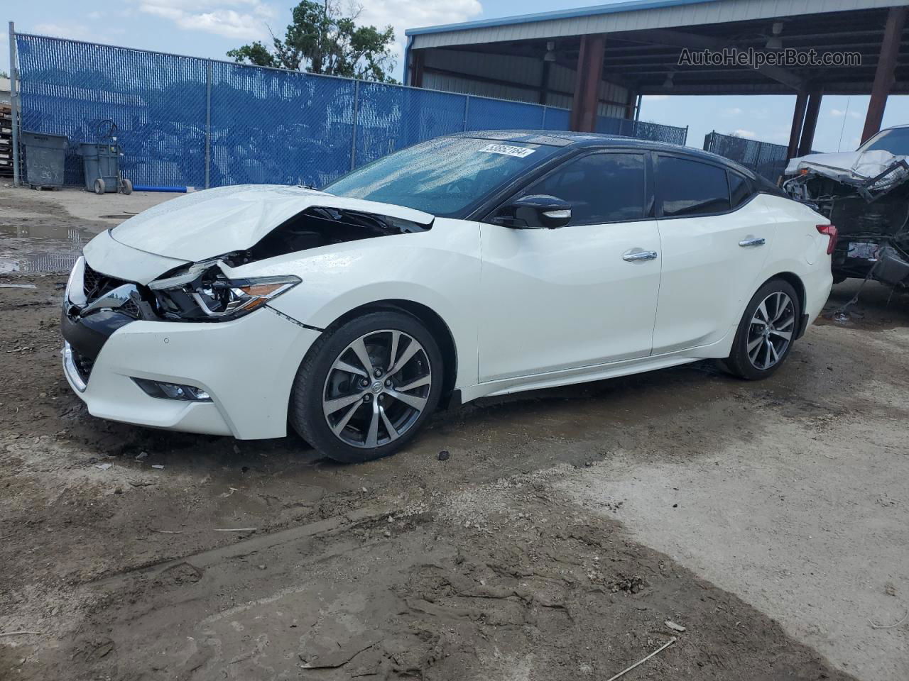 2017 Nissan Maxima 3.5s Белый vin: 1N4AA6AP5HC398936