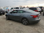 2017 Nissan Maxima 3.5s Gray vin: 1N4AA6AP5HC401284