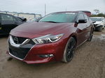 2017 Nissan Maxima 3.5s Бордовый vin: 1N4AA6AP5HC422474