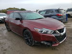 2017 Nissan Maxima 3.5s Бордовый vin: 1N4AA6AP5HC422474