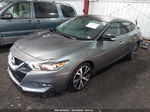 2017 Nissan Maxima 3.5 Sl Gray vin: 1N4AA6AP5HC446936