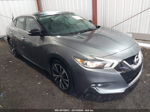 2017 Nissan Maxima 3.5 Sl Gray vin: 1N4AA6AP5HC446936