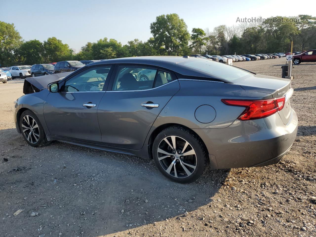 2017 Nissan Maxima 3.5s Gray vin: 1N4AA6AP5HC451442