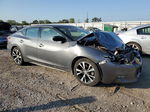 2017 Nissan Maxima 3.5s Gray vin: 1N4AA6AP5HC451442