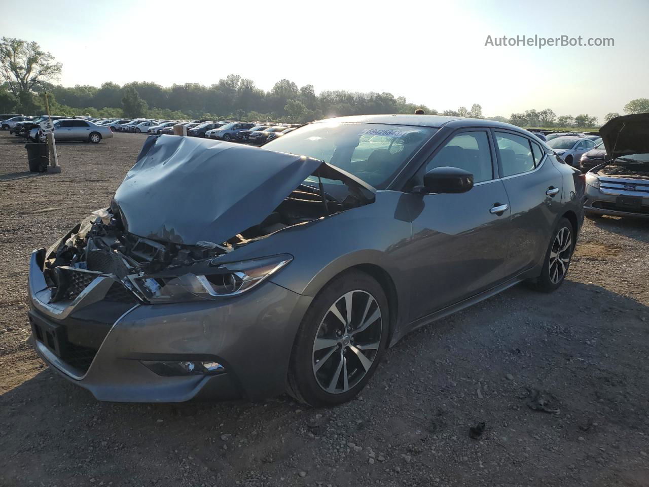 2017 Nissan Maxima 3.5s Серый vin: 1N4AA6AP5HC451442