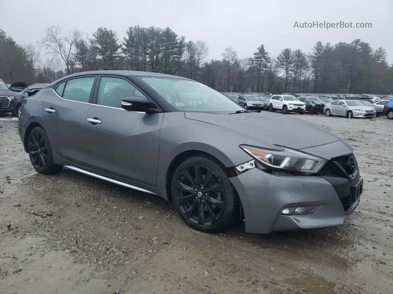 2018 Nissan Maxima 3.5s Gray vin: 1N4AA6AP5JC383729