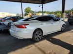 2016 Nissan Maxima 3.5s Белый vin: 1N4AA6AP6GC388723