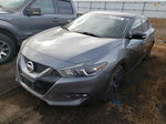 2016 Nissan Maxima 3.5s Gray vin: 1N4AA6AP6GC393811