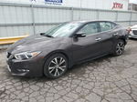 2016 Nissan Maxima 3.5s Gray vin: 1N4AA6AP6GC399074