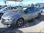 2016 Nissan Maxima 3.5 Platinum Gray vin: 1N4AA6AP6GC407383