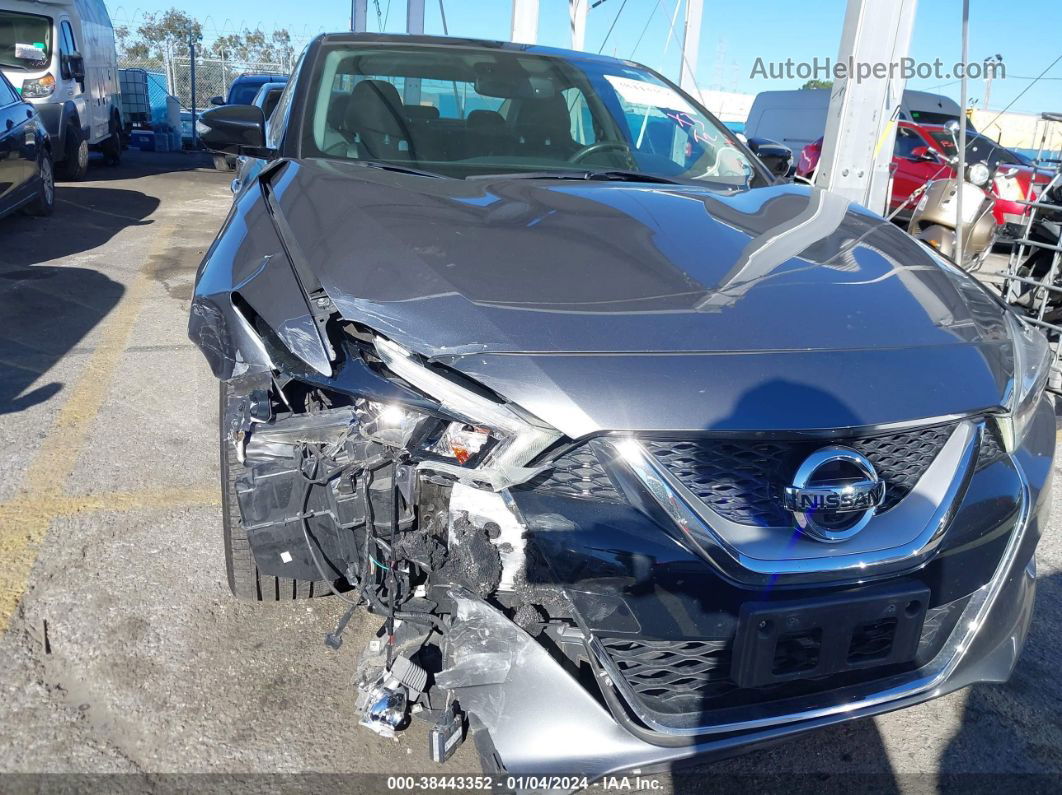 2016 Nissan Maxima 3.5 Platinum Серый vin: 1N4AA6AP6GC407383