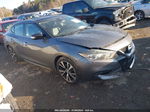 2016 Nissan Maxima 3.5 Platinum Gray vin: 1N4AA6AP6GC415256