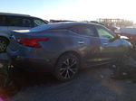 2016 Nissan Maxima 3.5s Серебряный vin: 1N4AA6AP6GC415919