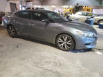 2016 Nissan Maxima 3.5s Silver vin: 1N4AA6AP6GC418836