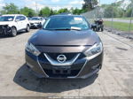 2016 Nissan Maxima 3.5 Platinum Коричневый vin: 1N4AA6AP6GC429531