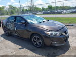 2016 Nissan Maxima 3.5 Platinum Brown vin: 1N4AA6AP6GC429531