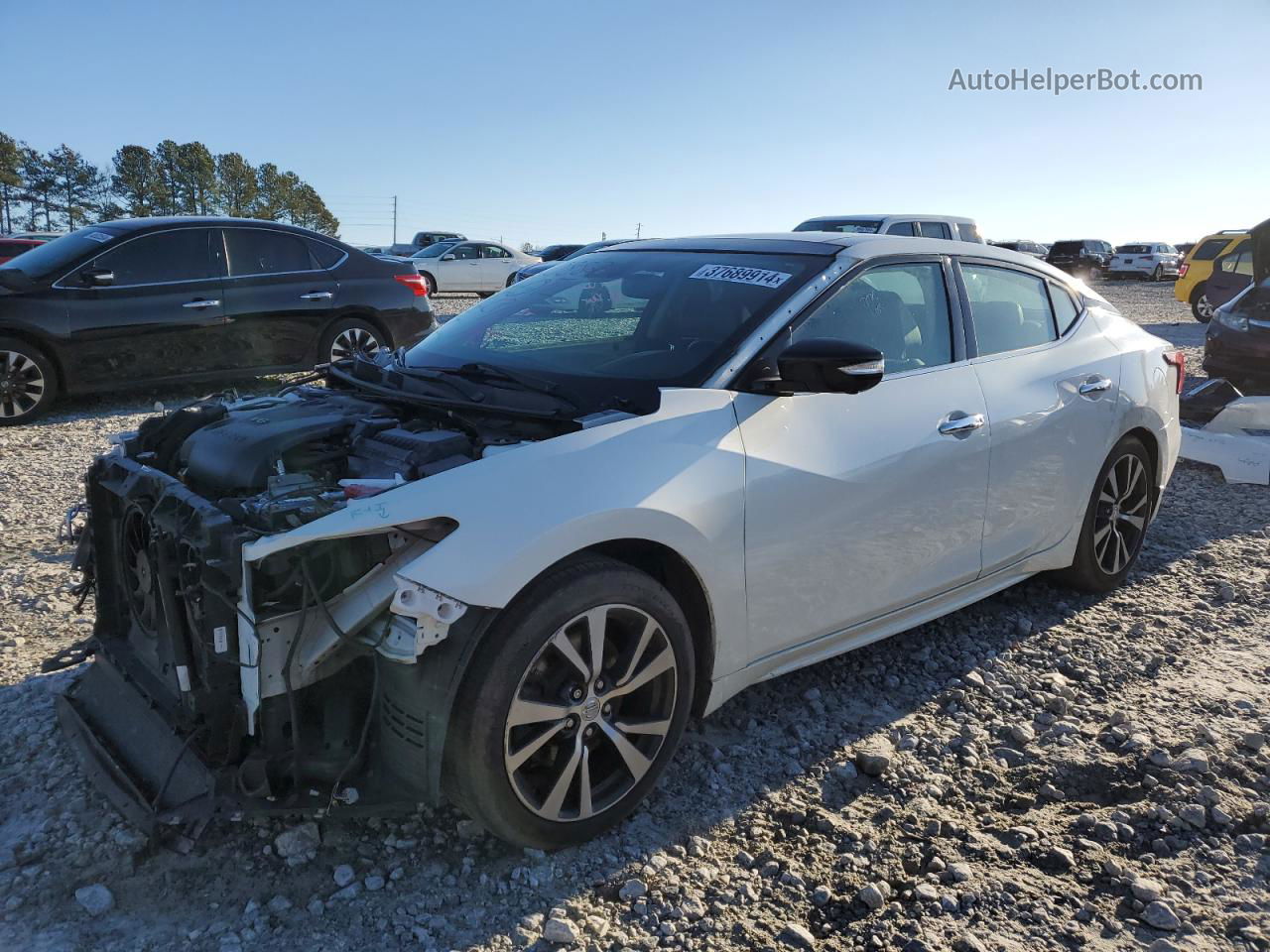 2016 Nissan Maxima 3.5s Белый vin: 1N4AA6AP6GC430243